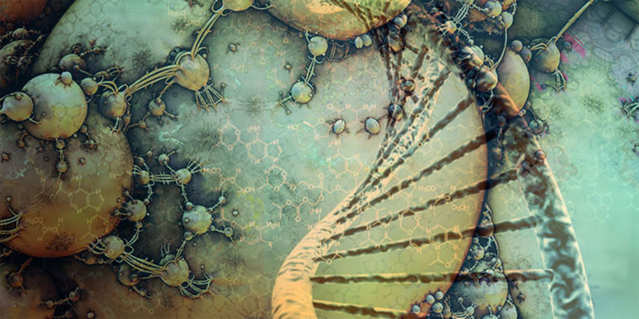 Explainer The Human Endogenous Retroviruses Profolus Explainer The Human Endogenous Retroviruses Profolus