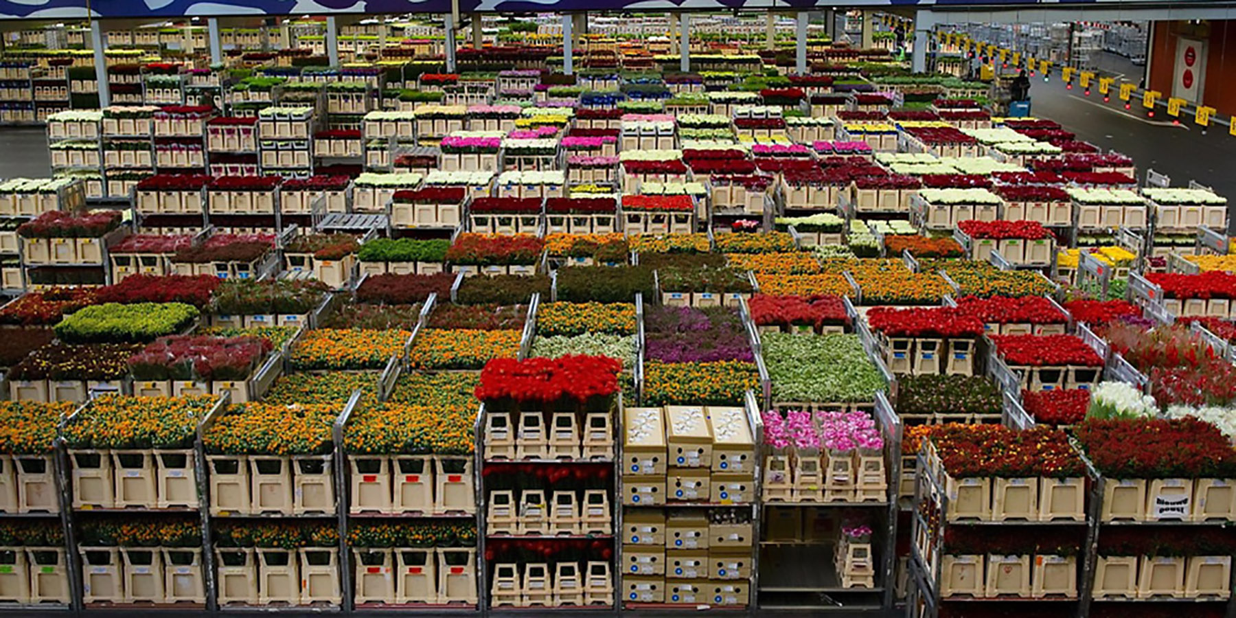 Examples of Supply Shifters Profolus