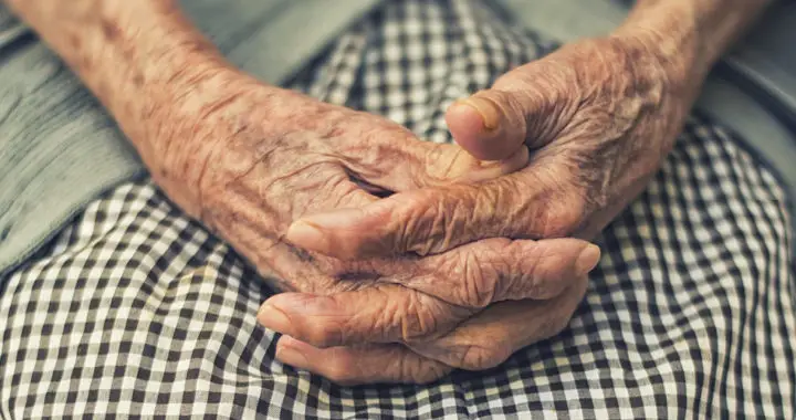 Senescence 101: The major theories of aging