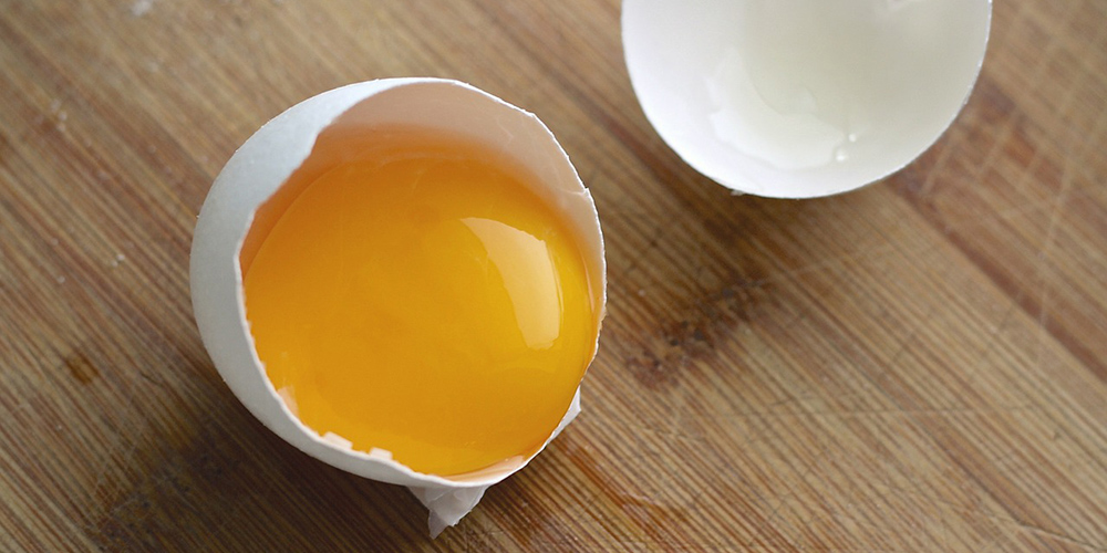 Explainer Chicken Egg Yolks are not Bad for Your Heart Profolus