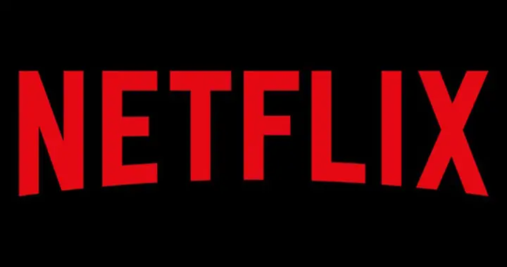 The business strategy of Netflix