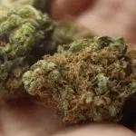 Pros and cons of legalizing recreational marijuana