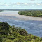 Importance of the Amazon Rainforest