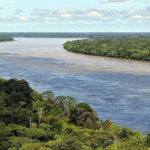 Importance of the Amazon Rainforest