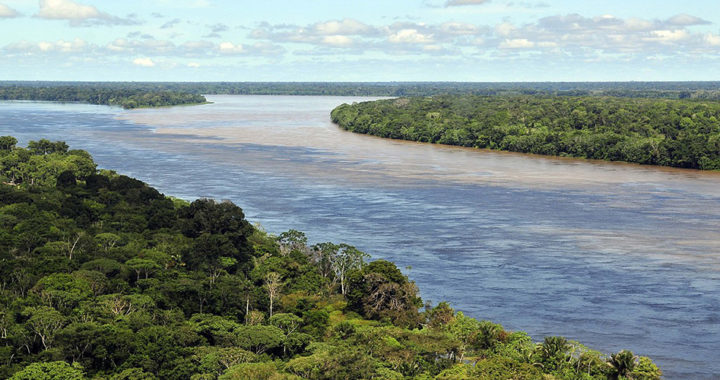 Importance of the Amazon Rainforest