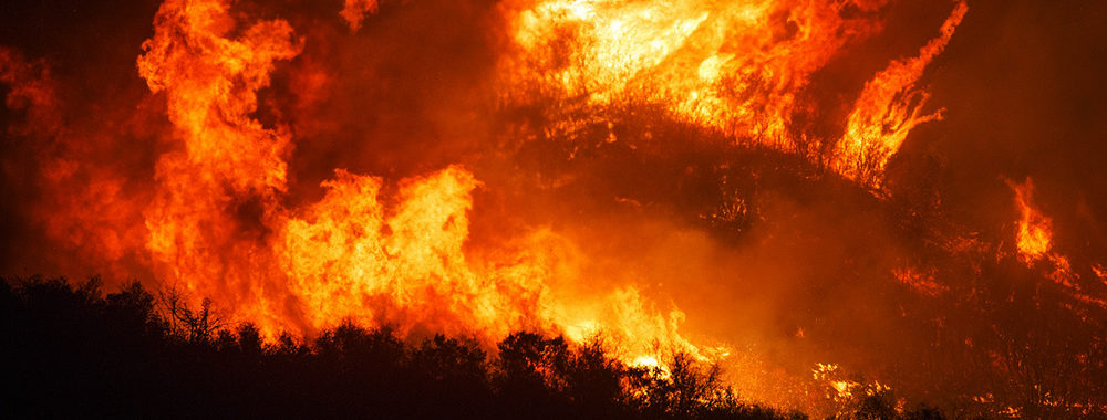 Why Is The Amazon Rainforest Burning?