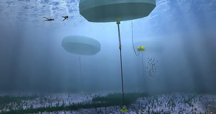 CETO System: Using Oceanic Wave to Generate Clean Electricity and Desalinate Water