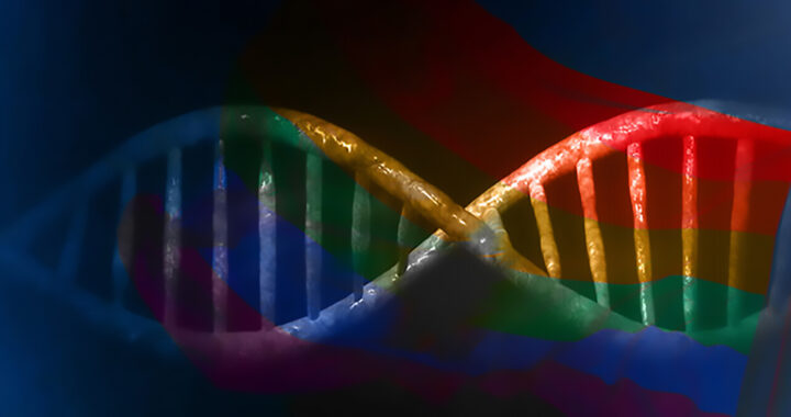 Theories: Link Between Evolution and Homosexuality