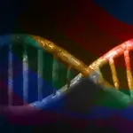 Theories: Link Between Evolution and Homosexuality