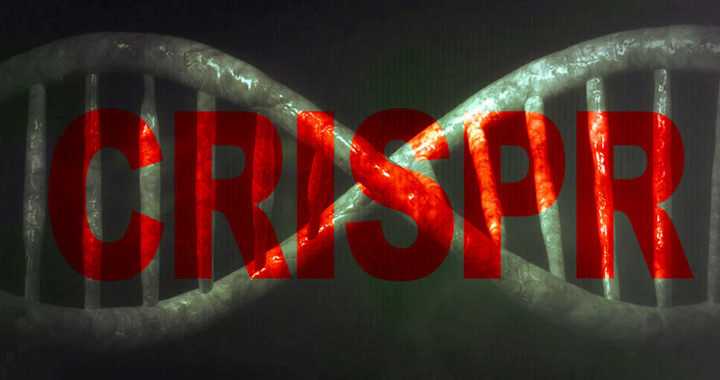 Explained: What is CRISPR? How CRISPR Gene Editing Works?