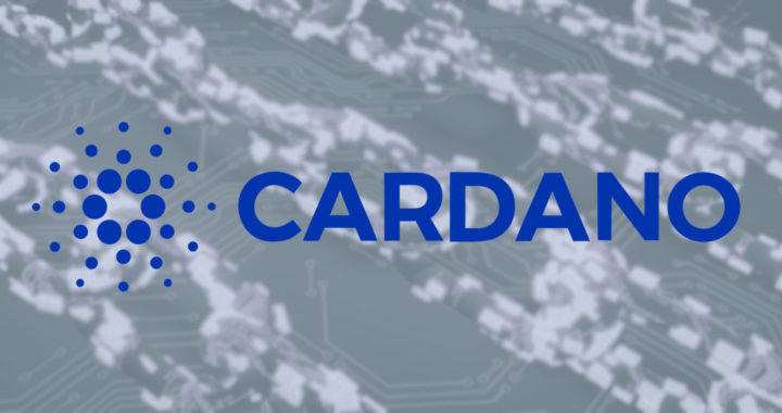 Cardano and Ada: Advantages and Disadvantages