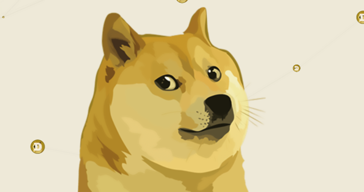 Dogecoin Advantages and Disadvantages