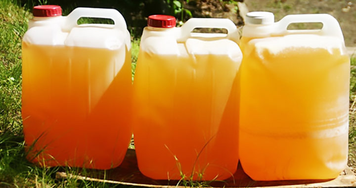 Human Urine as Fertilizer for Agriculture