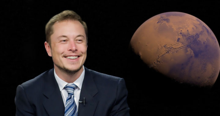 How Elon Musk Got Rich?