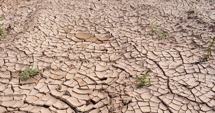 Causes and Effects of U.S. Megadrought Explained