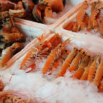 Renewable Energy Tech from Shrimp and Crab Shells