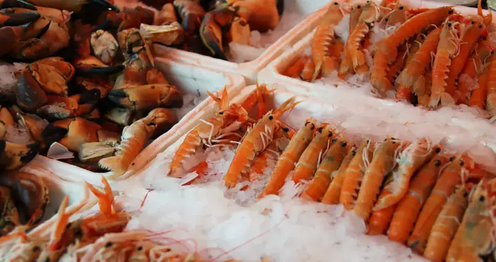 Renewable Energy Tech from Shrimp and Crab Shells