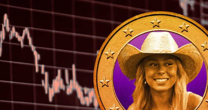 An image of the Hawk crypto coin logo over a declining chart for the article "In Brief: Hawk Tuah Meme Coin Controversy"