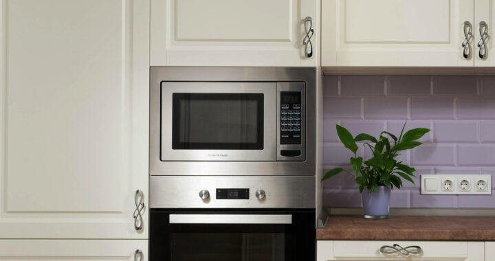 Explainer: Are Microwave Ovens Bad for Health?