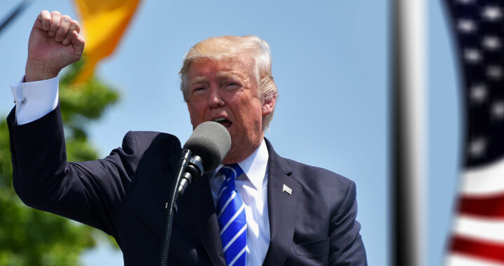 Madness or Strategy: Why Donald Trump Talks Nonsense?