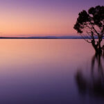 Scientists Warn Against Mirror Life Biotech Research